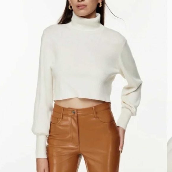 Aritzia Wilfred Merino Wool Turtleneck - Picture 1 of 4